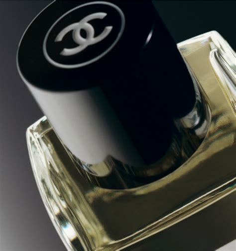 les necessaires de chanel|chanel body oil.